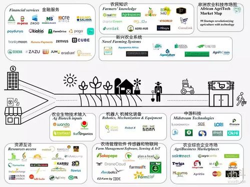非洲農業(yè)科技新浪潮 聚焦種植決策、供應鏈與金融服務的數(shù)字化轉型